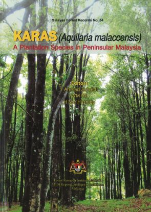Picture of KARAS (Aquilaria malaccensis) : A Plantation Species in Peninsular Malaysia