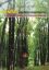 Picture of KARAS (Aquilaria malaccensis) : A Plantation Species in Peninsular Malaysia