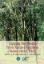Picture of Tapping the Wealth From Karas (Aquilaria malaccensis) Tree