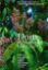 Picture of Flora of Peninsular Malaysia Series II: Seed Plants, Vol. 9