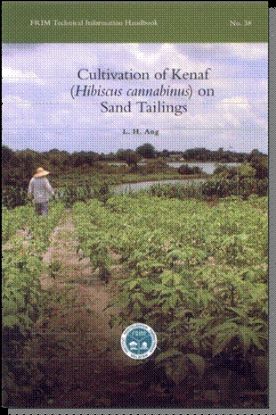Picture of Cultivation of Kenaf (Hibiscus cannabinus) on Sand Tailings