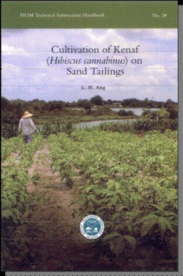 Picture of Cultivation of Kenaf (Hibiscus cannabinus) on Sand Tailings