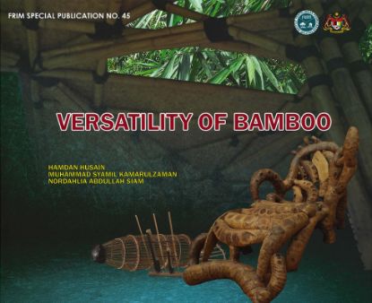 Picture of Versatility of Bamboo