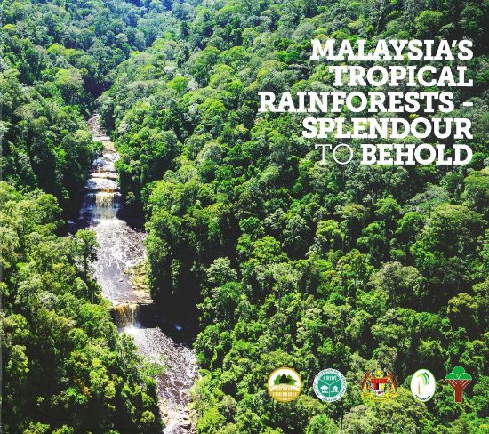 Picture of Malaysia’s Tropical Rainforest-Splendour To Behold