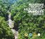 Picture of Malaysia’s Tropical Rainforest-Splendour To Behold