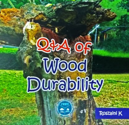 Picture of Q&A Of Wood Durability