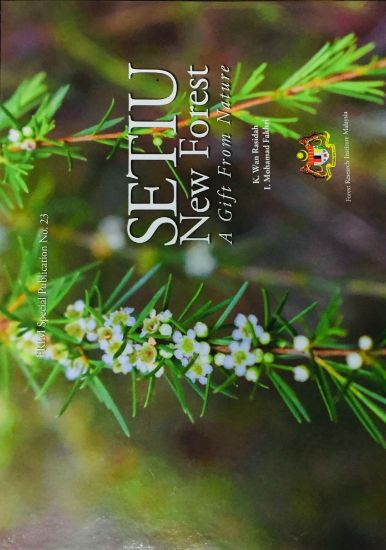 Picture of Setiu New Forest a Gift From Nature
