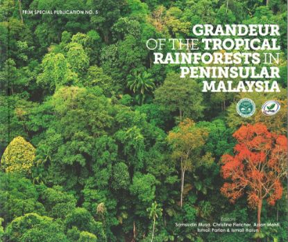 Picture of Grandeur of the tropical rainforest in Peninsular Malaysia