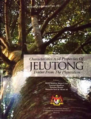 Picture of Characteristics and Properties of Jelutong Timber From the Plantation