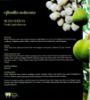 Picture of 99 Spesies Buah di FRIM Edisi Ke-2