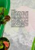 Picture of Proceedings of Regional Webinar on Ex-Situ Conservation and Carbon Sequestration Potential of Red List Tree Species