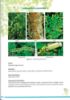 Picture of Medicinal Forest Species in FRIM Volume 2