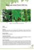 Picture of Medicinal Forest Species in FRIM (Volume 1)