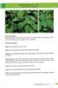 Picture of Discovering the Forest Secrets: Heritage of the Orang Asli Peninsular Malaysia Volume 1