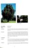 Picture of Pokok-pokok Untuk Tanaman Bandar. Edisi Kedua
