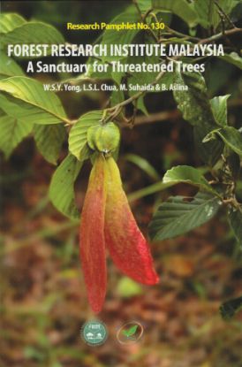 Picture of Forest Research Institute Malaysia: A Sanctuary for Threatened Trees