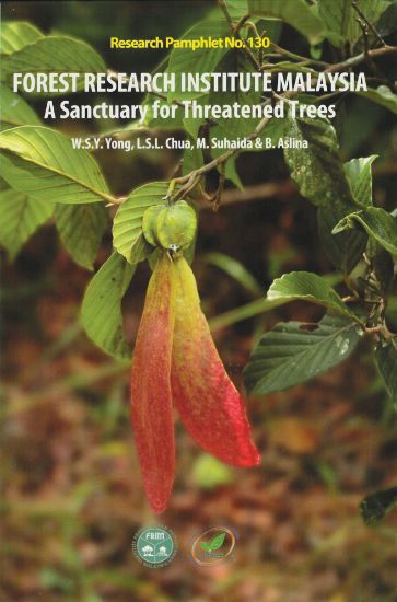 Picture of Forest Research Institute Malaysia: A Sanctuary for Threatened Trees