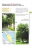 Picture of Forest Research Institute Malaysia: A Sanctuary for Threatened Trees