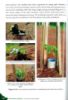 Picture of Reforestation Initiatives: Establishment of Forest Species Stand, Bamboos and Herbal Garden Within an Old Rubber Plantation