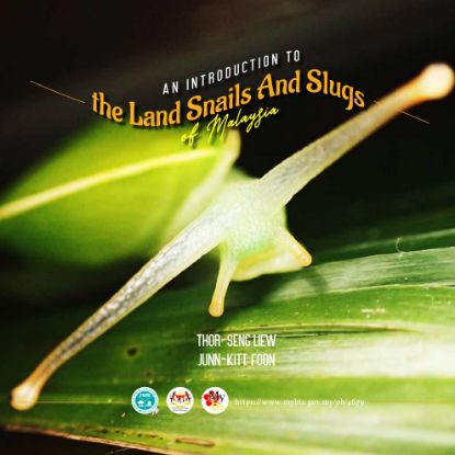 Picture of An Introduction to the Land of Snails and Slugs of Malaysia