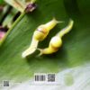 Picture of An Introduction to the Land of Snails and Slugs of Malaysia