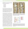 Picture of Biodiversity Assessment and Monitoring Protocol in The Central Forest Spine Landscape
