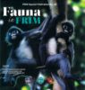 Picture of Fauna in FRIM