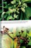 Picture of VARIASI POKOK LANDSKAP JILID 1