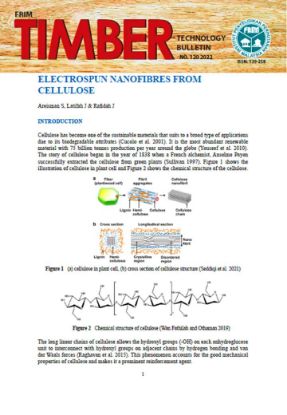 Picture of Electrospun Nanofibres from Cellulose