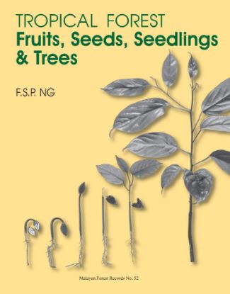 Picture of Tropical Forest Fruits, Seeds, Seedlings and Trees