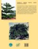 Picture of Tropical Forest Fruits, Seeds, Seedlings and Trees