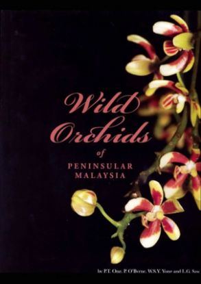 Picture of Wild Orchids of Peninsular Malaysia