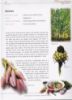 Picture of Malaysian Herbal Heritage