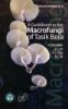 Picture of A Guidebook to the Macrofungi of Tasik Bera