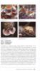 Picture of A Guidebook to the Macrofungi of Tasik Bera