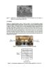 Picture of  Finger-Jointed Timber: Production and Requirements