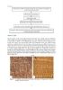 Picture of  Introduction to Basic Wood Identification
