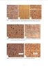 Picture of  Introduction to Basic Wood Identification