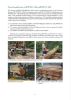 Picture of Comparison between Graveyard and Laboratory Test Methods to Determine Natural Durability