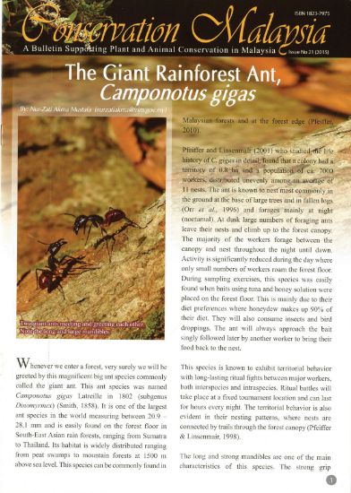 Picture of Conservation Malaysia (21), 2015