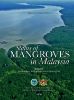 Picture of Status of Mangroves in Malaysia