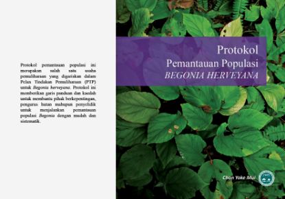 Picture of Protokol Pemantauan Populasi Begonia herveyana