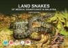 Picture of Land Snakes of Medical Significance in Malaysia 3rd Edition