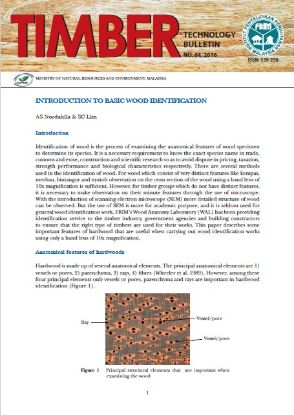 Picture of  Introduction to Basic Wood Identification