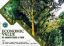 Picture of Economic Value Of Amenity Trees at FRIM