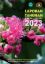 Picture of LAPORAN TAHUNAN (ANNUAL REPORT) 2023