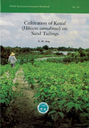 Picture of Cultivation of Kenaf (Hibiscus cannabinus) on Sand Tailings