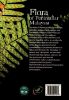 Picture of Flora of Peninsular Malaysia, Series 1: Ferns and Lycophytes, Volume 1