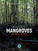 Picture of Status of Mangroves in Malaysia