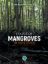 Picture of Status of Mangroves in Malaysia